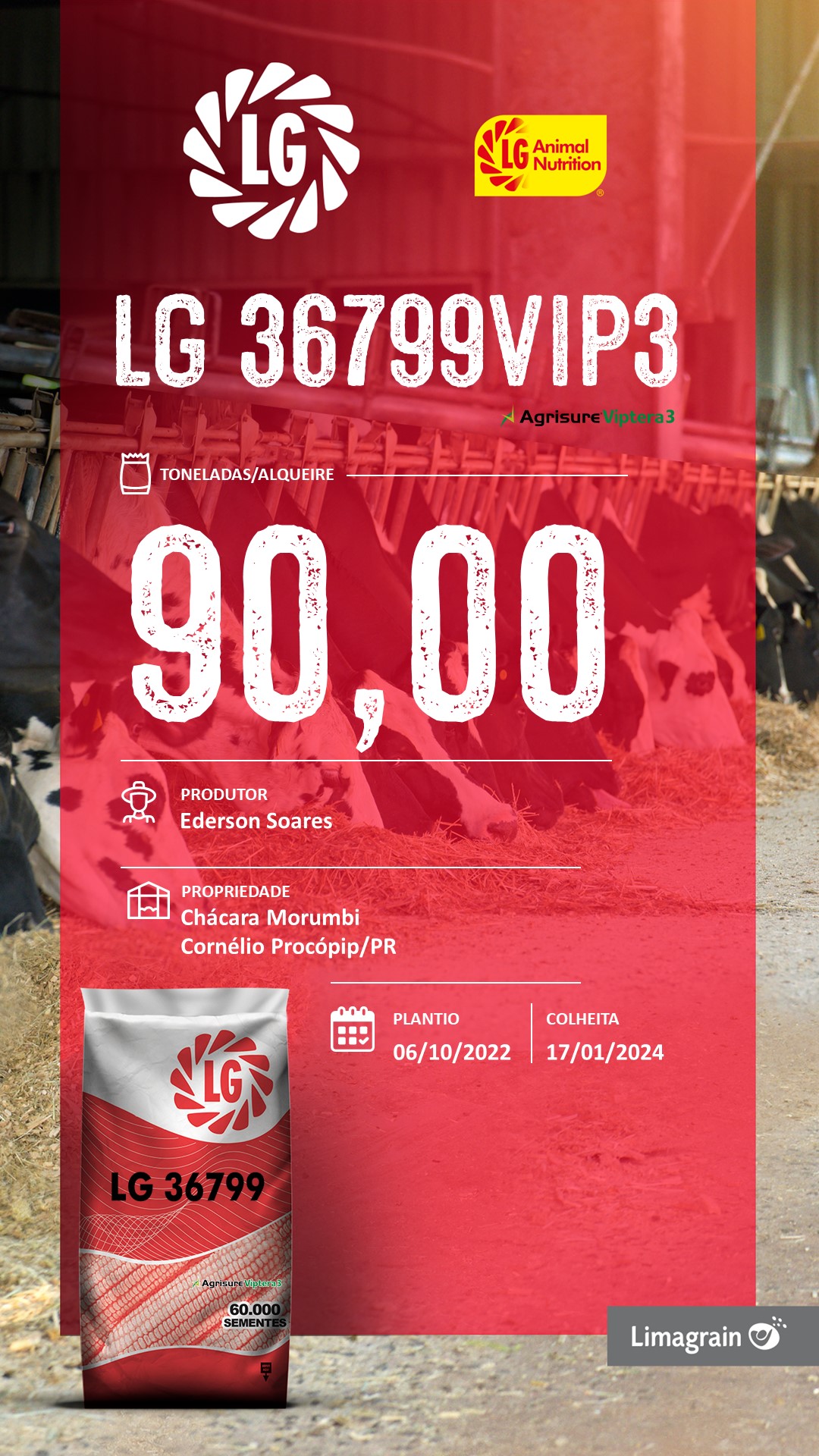 36799 VIP3 - Ederson